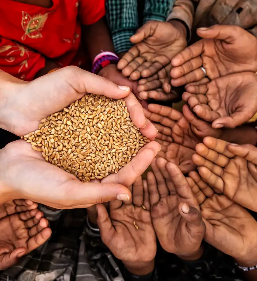 Revathy Foundation and Charitable Trust